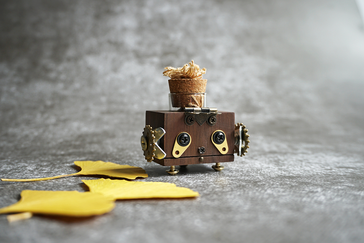 12星座手工实木精油香薰瓶桌面摆件