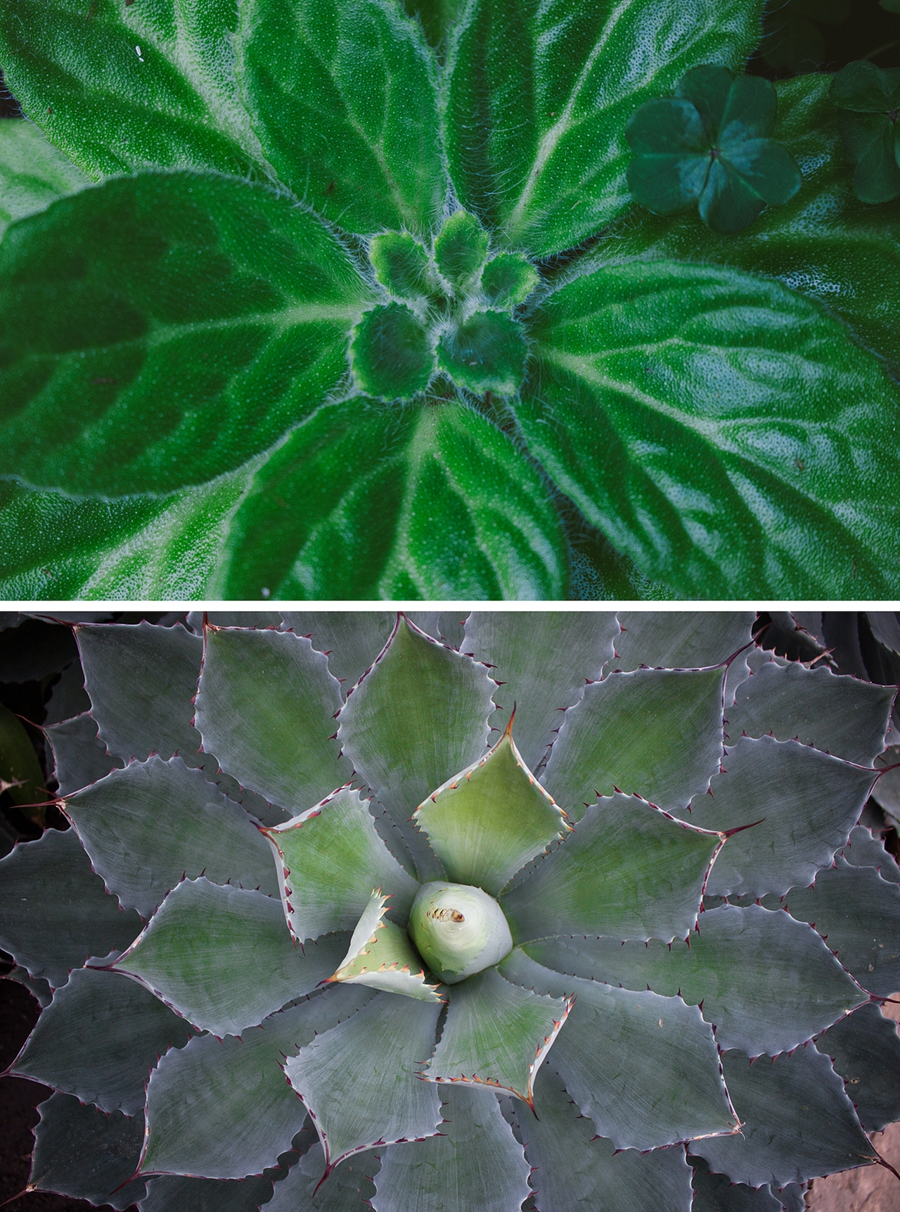 冬天再长,春天终归要来。