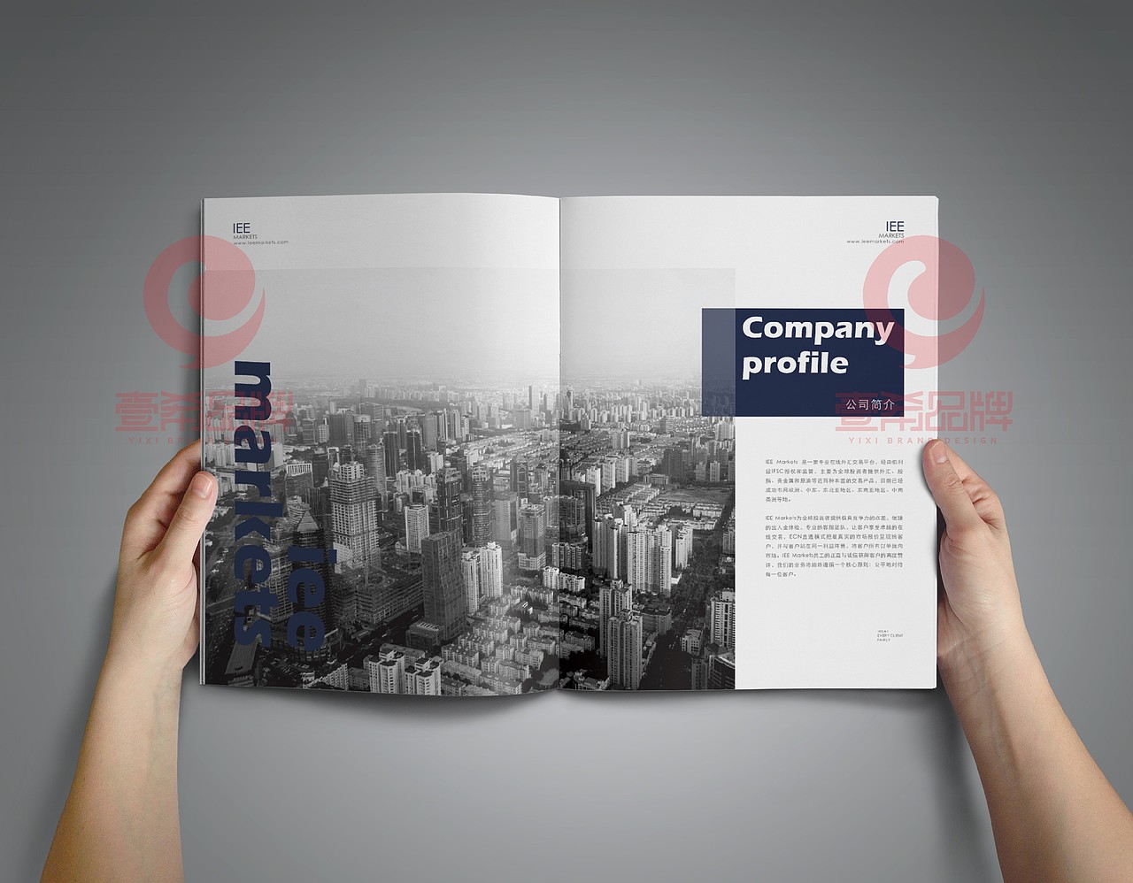 一希品牌设计--IEE金融画册设计（图ZMTU1NzA3NTEy） - 书籍/画册 - 站酷设计师一希品牌设计原创素材 - 站酷ZCOOL