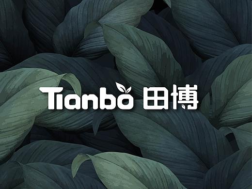 浙江田博logo设计