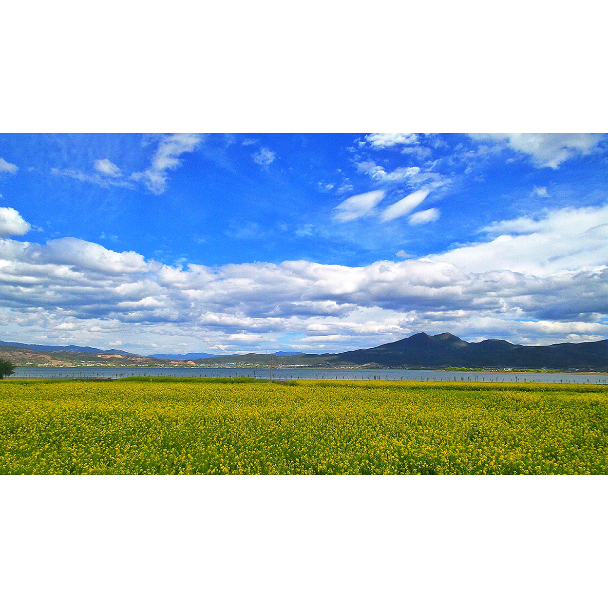 2016年2月-5月的云南时光