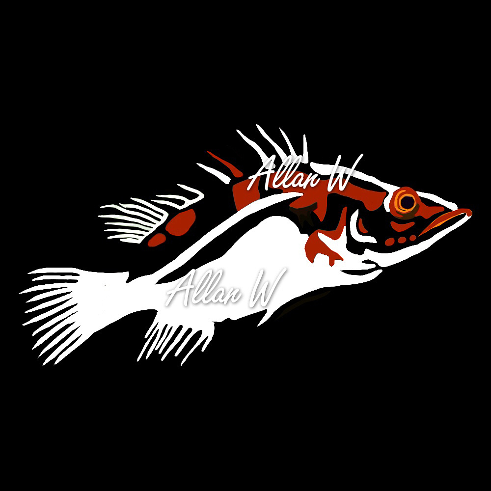 红纹鳜鱼设计|插画|艺术插画|allan阿伦 - 原创作品 - 站酷 (zcool)