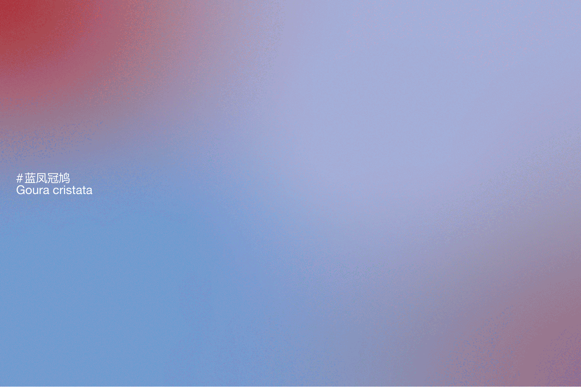 《處境之地》（圖ZMzA2NDQxNDM2） - 其他平面 - 站酷設(shè)計師橘子苦瓜原創(chuàng)素材 - 站酷ZCOOL