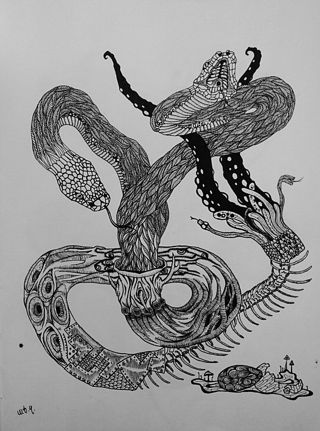 线条表达（图ZODkzMzU1MDg=） - 创作习作 - 站酷设计师blurtwtq原创素材 - 站酷ZCOOL