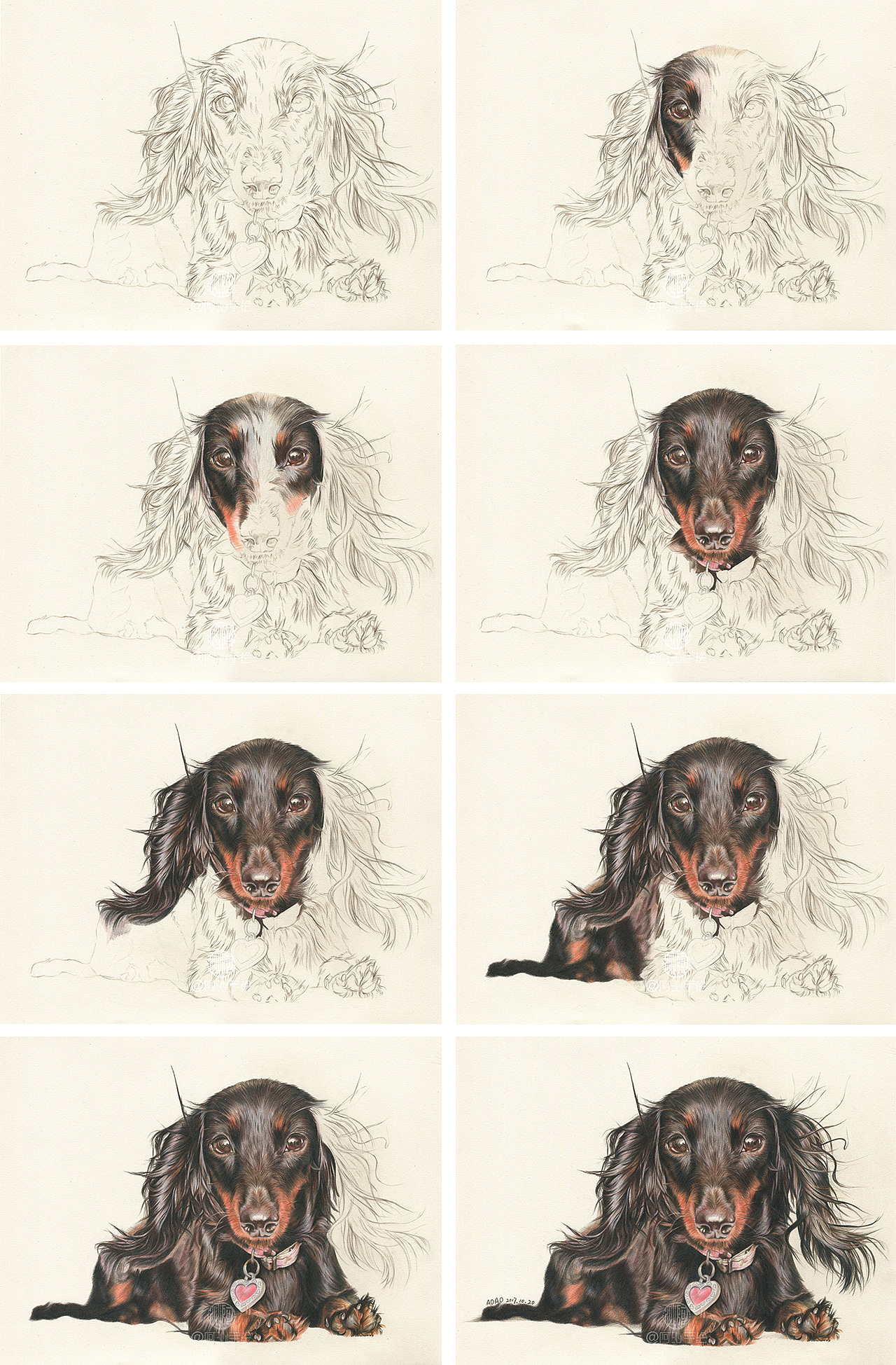 2017年萌宠彩铅画集合