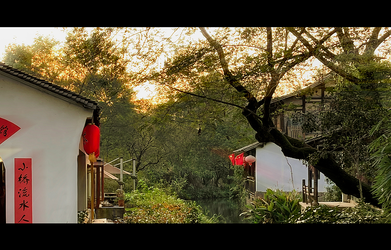 手机摄影，杭州西溪湿地（图ZMjk3NDYyNTc2） - 风光摄影 - 站酷设计师叙语原创素材 - 站酷ZCOOL