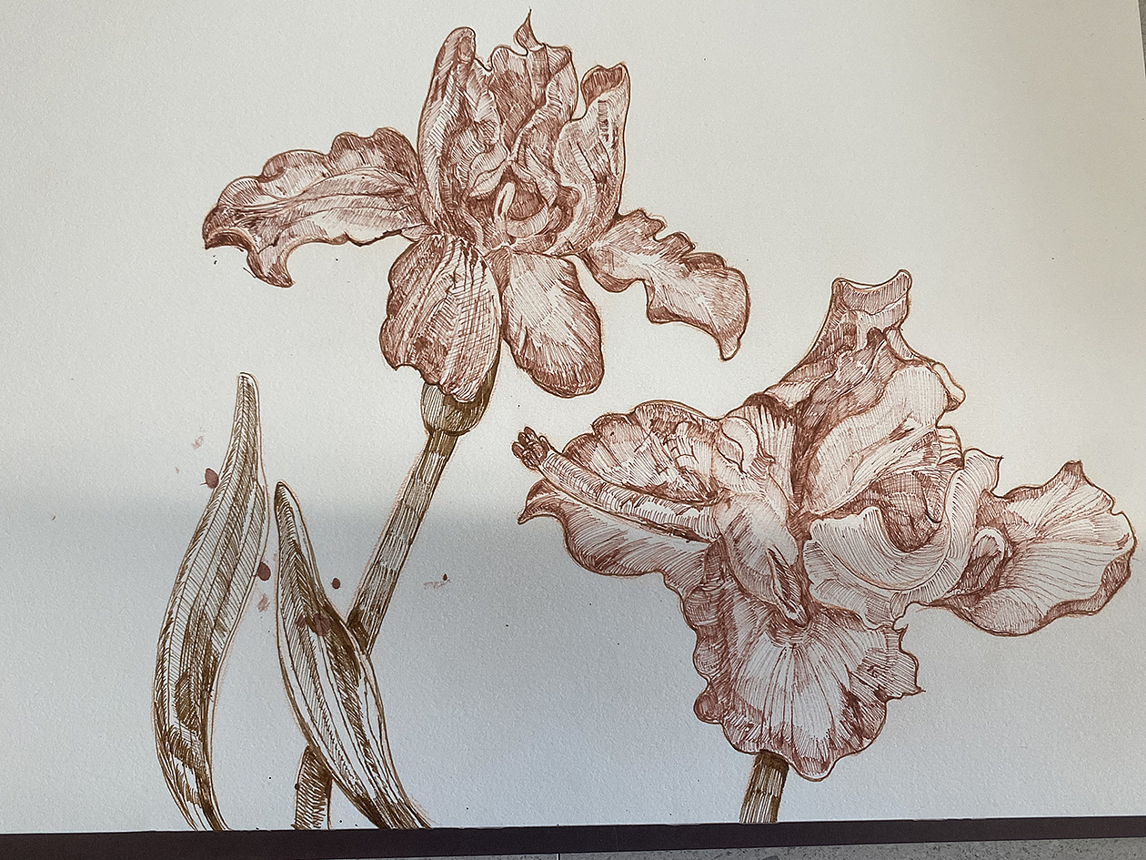 花卉插画与包装