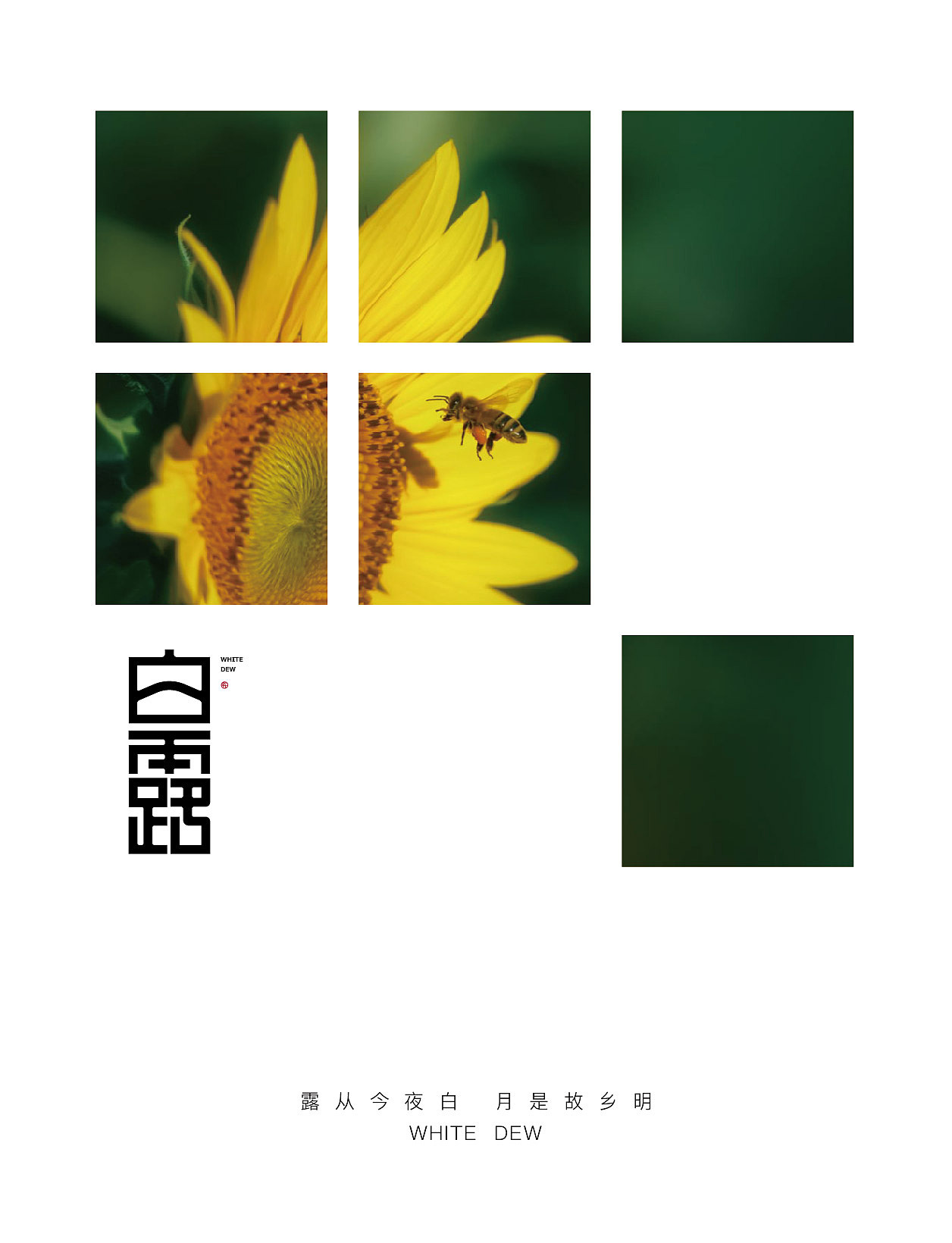 二十四节气「白露」（图ZMzA2MjM2MDg4） - 字体/字形 - 站酷设计师枯藤先森原创素材 - 站酷ZCOOL