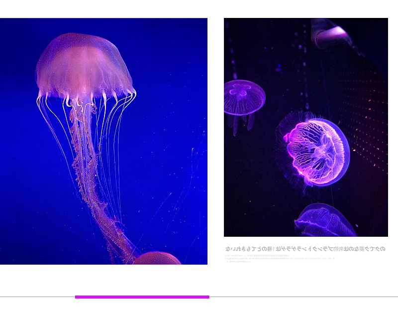 摄影 不一样的感觉