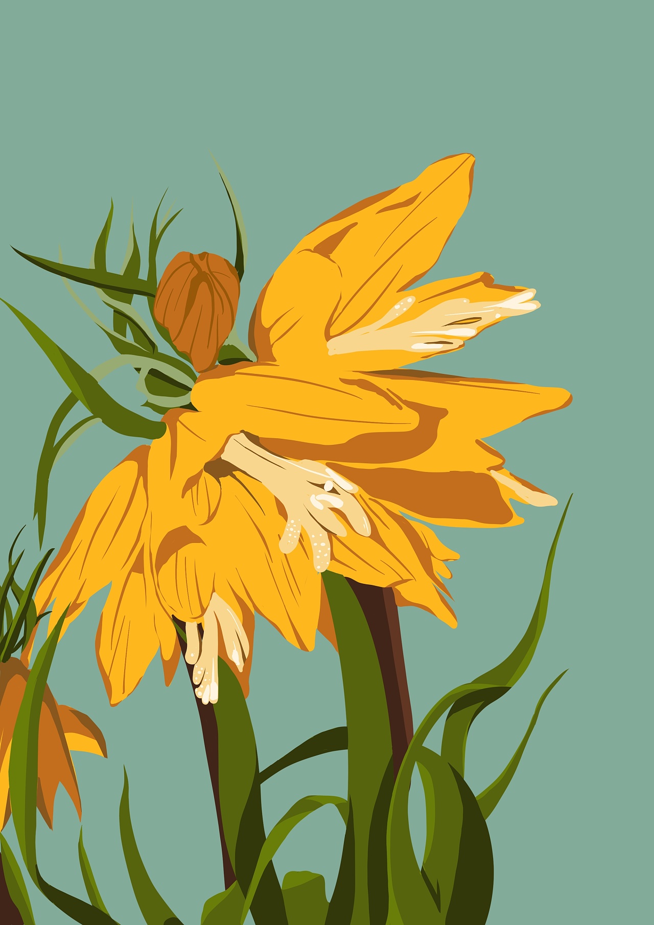 花卉系列扁平插画|插画|创作习作|维子酱vivian_ - 原创作品 - 站酷