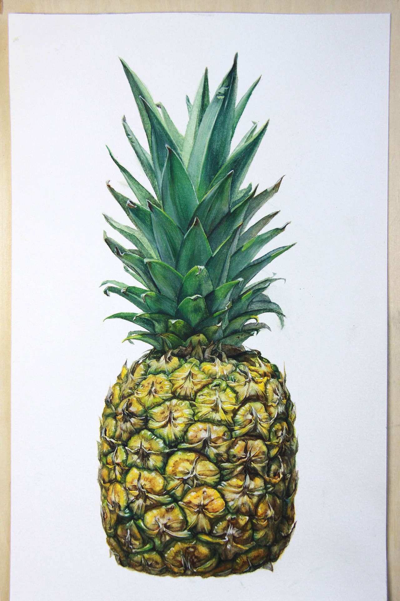 写实水彩插画《菠萝》 这次步骤图绝对详细了.
