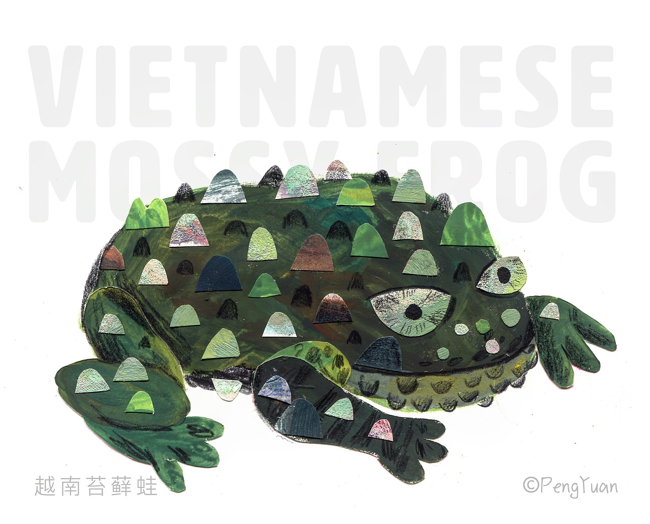 动物拼贴（图ZMTc3MjI1Mzg4） - 创作习作 - 站酷设计师盆盆盆盆原创素材 - 站酷ZCOOL