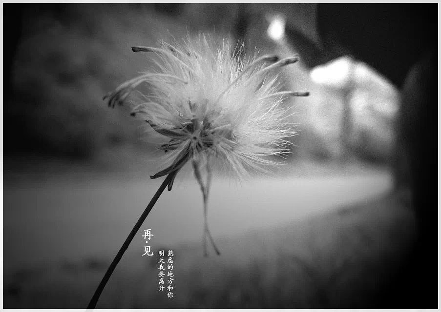 没有了你,我的世界一片黑白