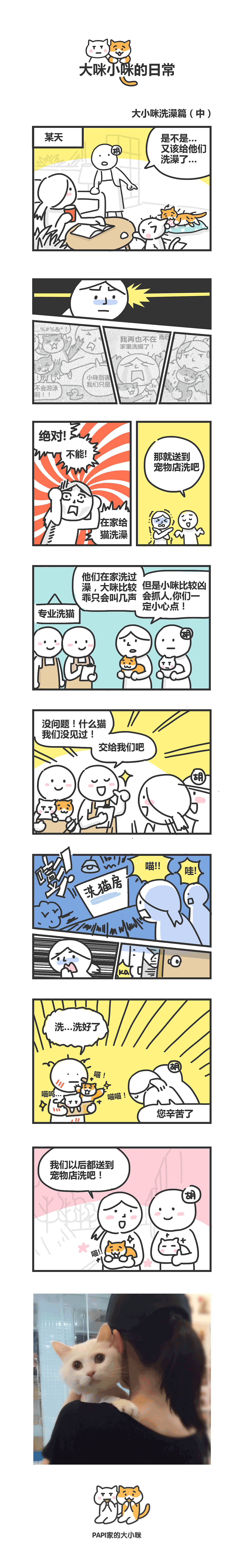 papi家的大小咪漫画