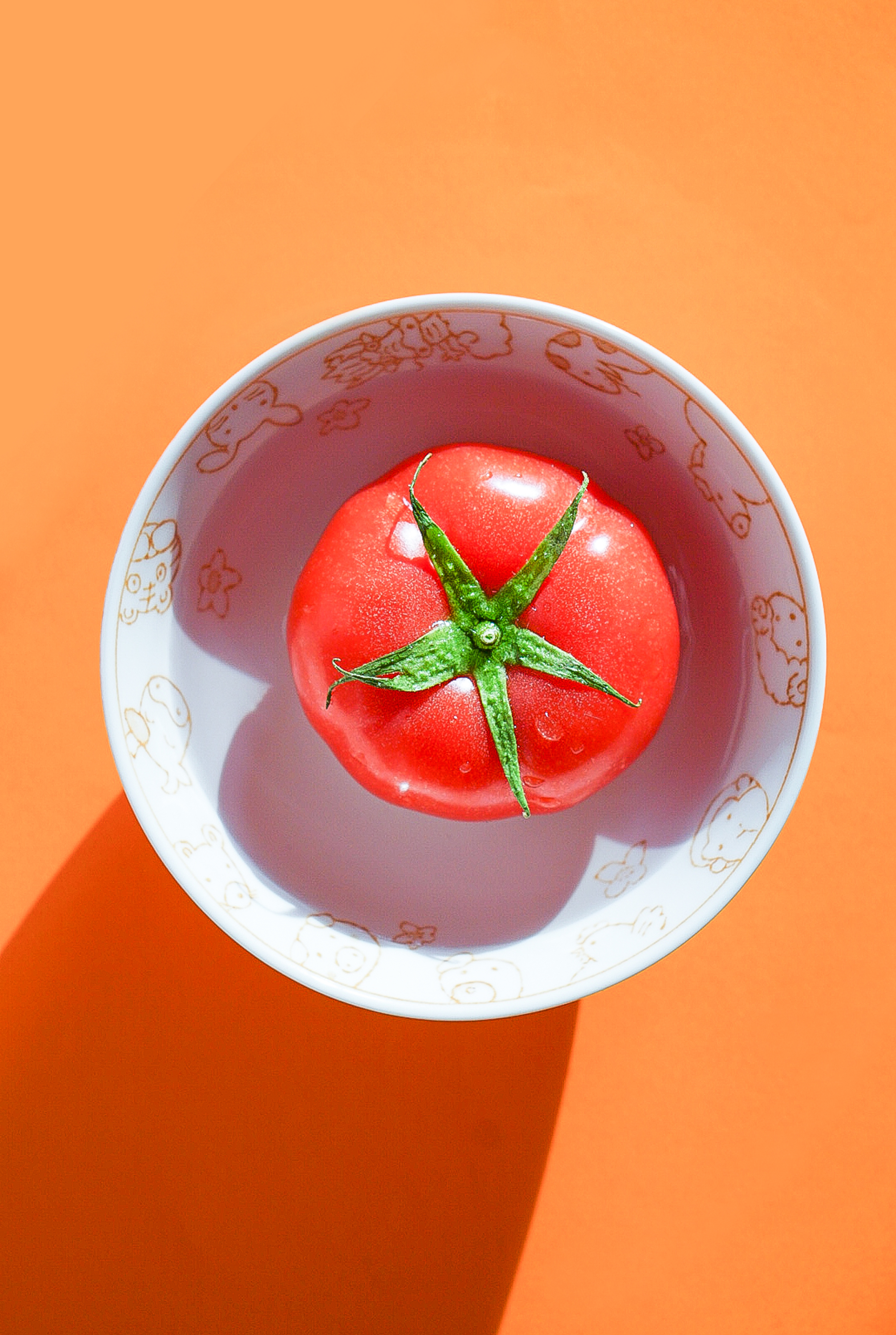 一只可爱的西红柿|摄影|静物|宇宙第一年糕 - 原创作品 - 站酷 (zcool