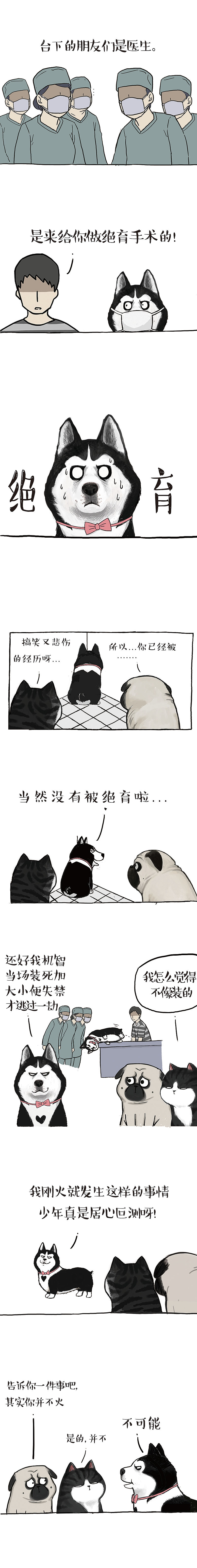 他来了他火了他过气了……（图ZMTgyNDI5NTE2） - 中/长篇漫画 - 站酷设计师吾皇的白茶原创素材 - 站酷ZCOOL