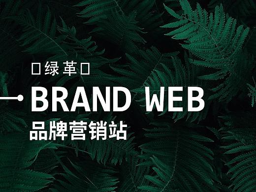 工业化—品牌站、营销型网站