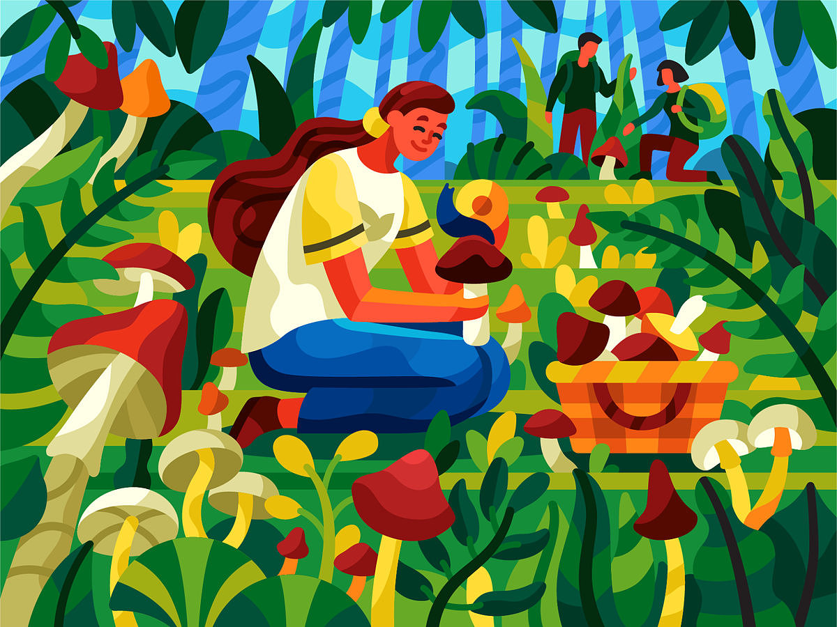 图形创意素材分享