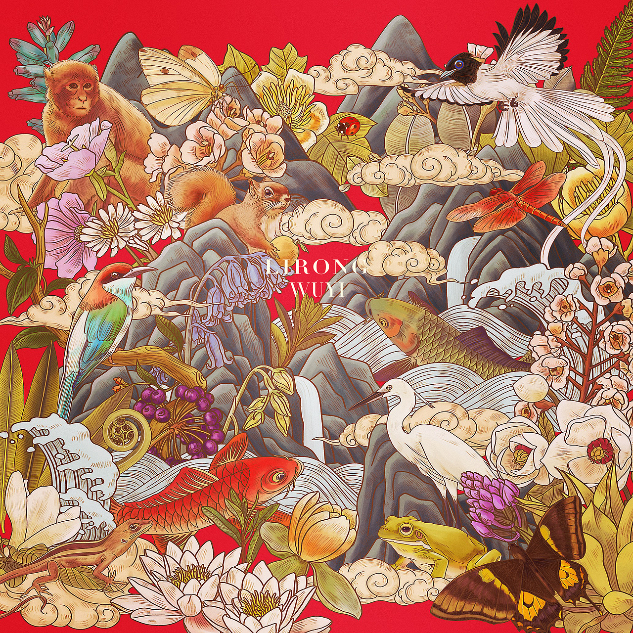 武夷红正 茶包装插画设计