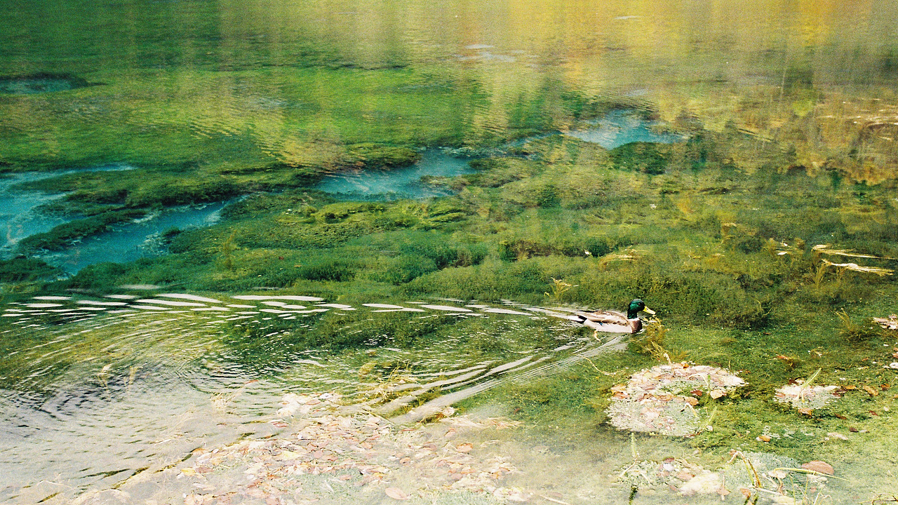 九寨天堂（图ZMTQzNzExMzY=） - 风光摄影 - 站酷设计师沈师傅么么茶原创素材 - 站酷ZCOOL