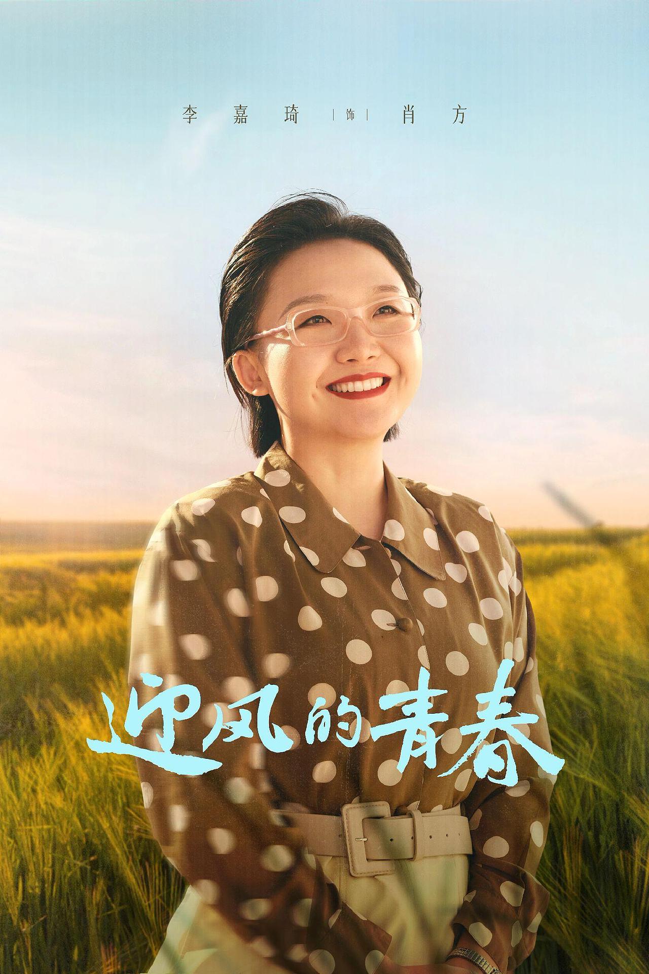 《迎风的青春》稻田版单人海报