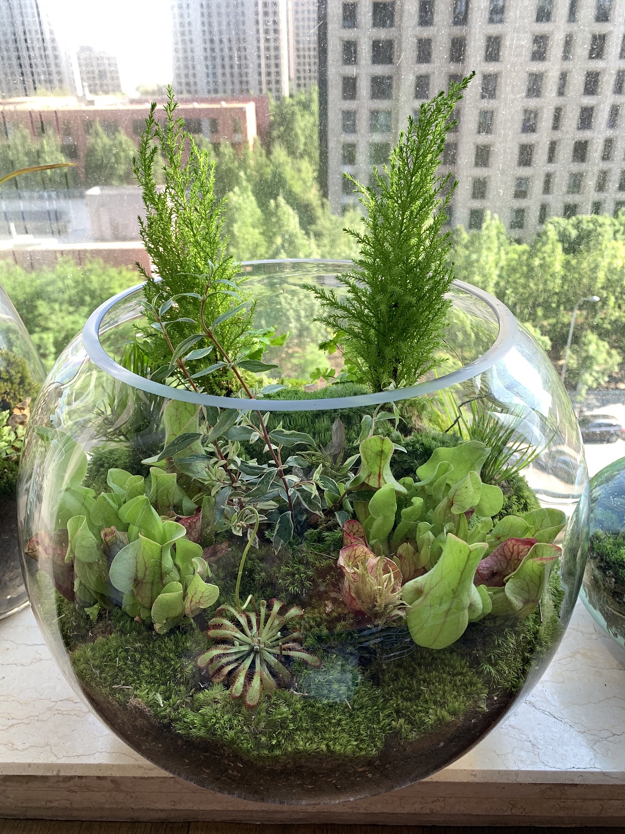 以前做的微景观