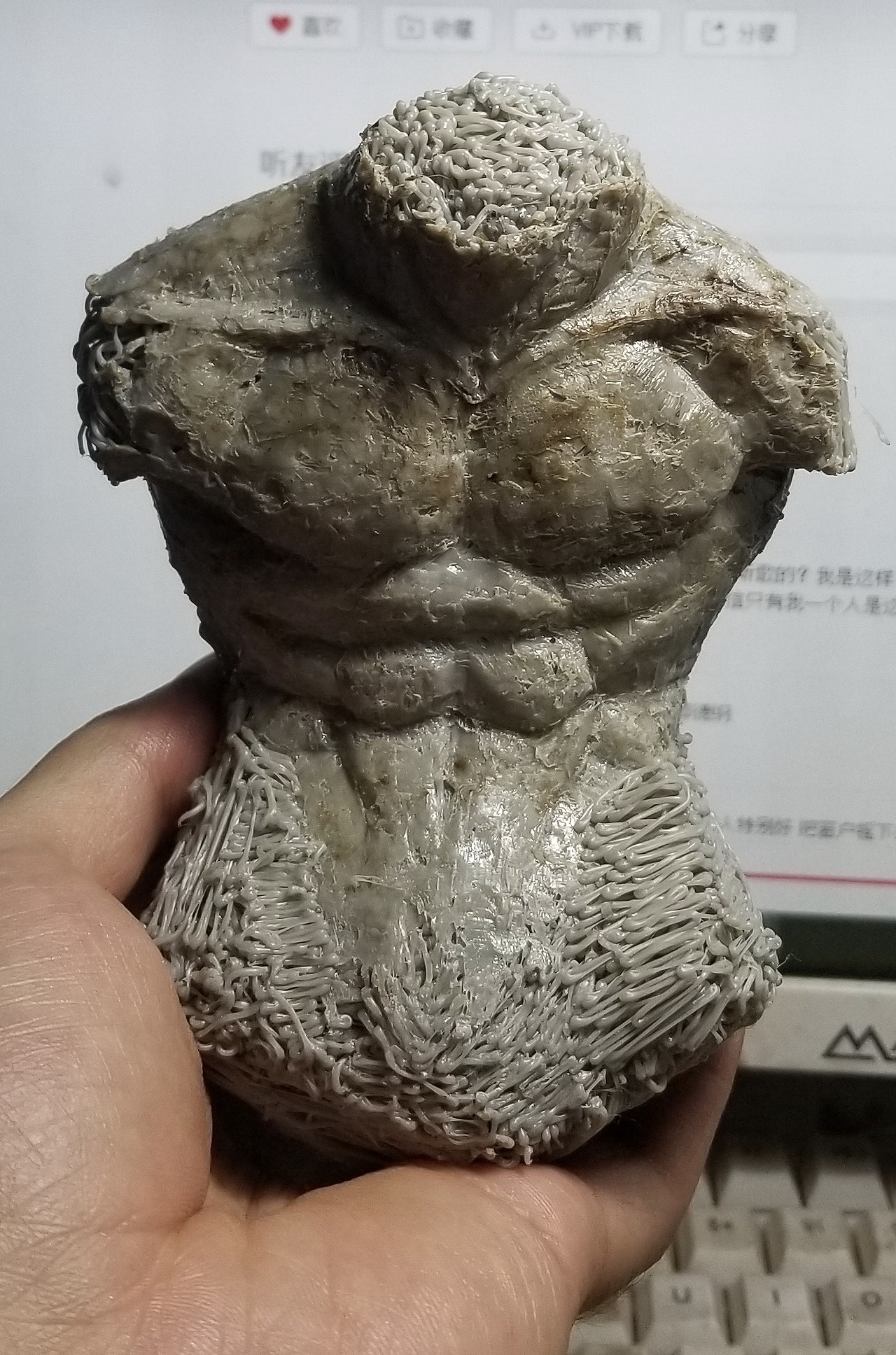 模型 悟空 南美缸