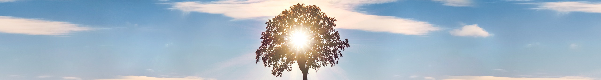 HuaiYu的個(gè)人主頁（封面預(yù)覽） - 主頁封面設(shè)置 - 站酷設(shè)計(jì)師HuaiYu原創(chuàng)素材 - 站酷ZCOOL