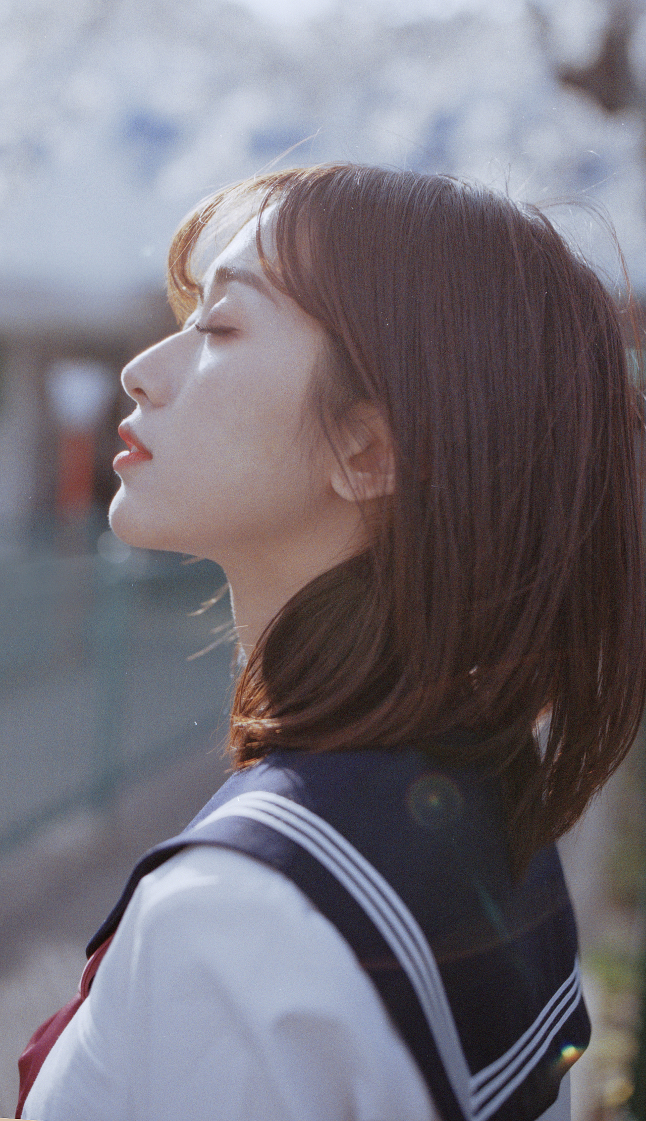 樱花抄（图ZMTU5MzcxOTky） - 人像摄影 - 站酷设计师苏格林的唐怀瑟原创素材 - 站酷ZCOOL