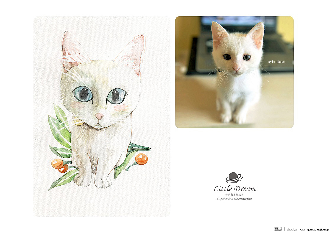 @AVIS火花 家的小呼呼