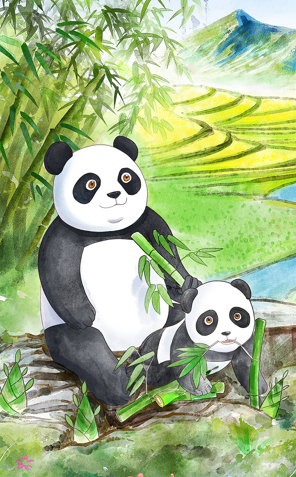 《秦岭四宝》插图绘制|插画|商业插画|春和绘 - 原创作品 - 站酷