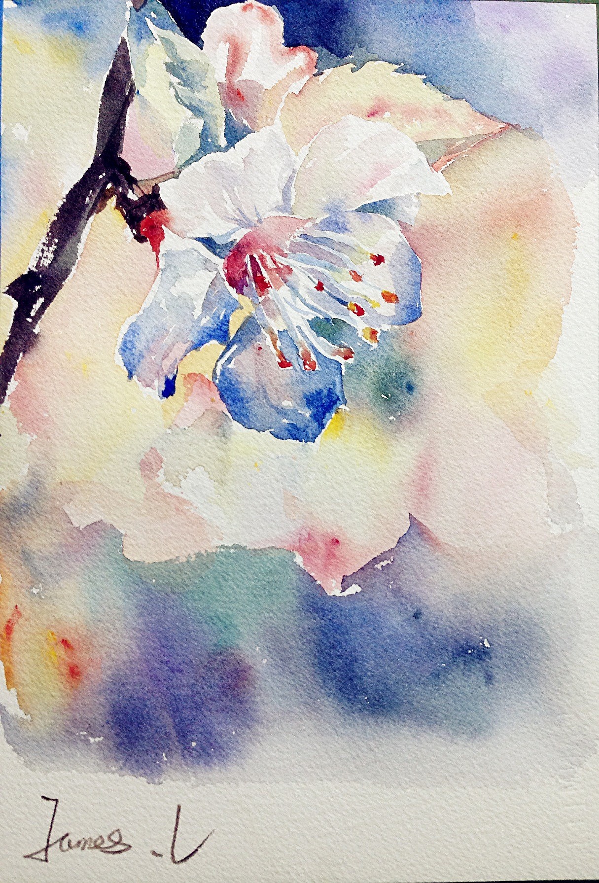 水彩插画全日班刘敬慈老师花卉作品（图ZMTgxMjIyOTI=） - 创作习作 - 站酷设计师明天教室原创素材 - 站酷ZCOOL