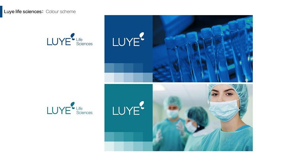 绿叶生命标志修改提案（图ZMjM2MDg5OTk2） - Logo - 站酷设计师许天博原创素材 - 站酷ZCOOL