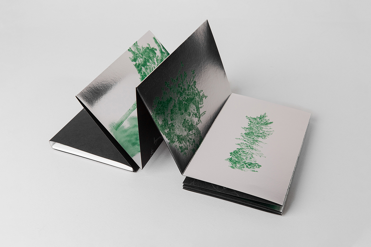 设计分享/ A Garden at Night（图ZMjM3NjA3MDcy） - 书籍/画册 - 站酷设计师BranD杂志原创素材 - 站酷ZCOOL