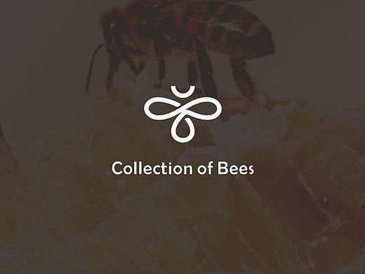 Collection of bees （蜂品汇）品牌视觉设计
