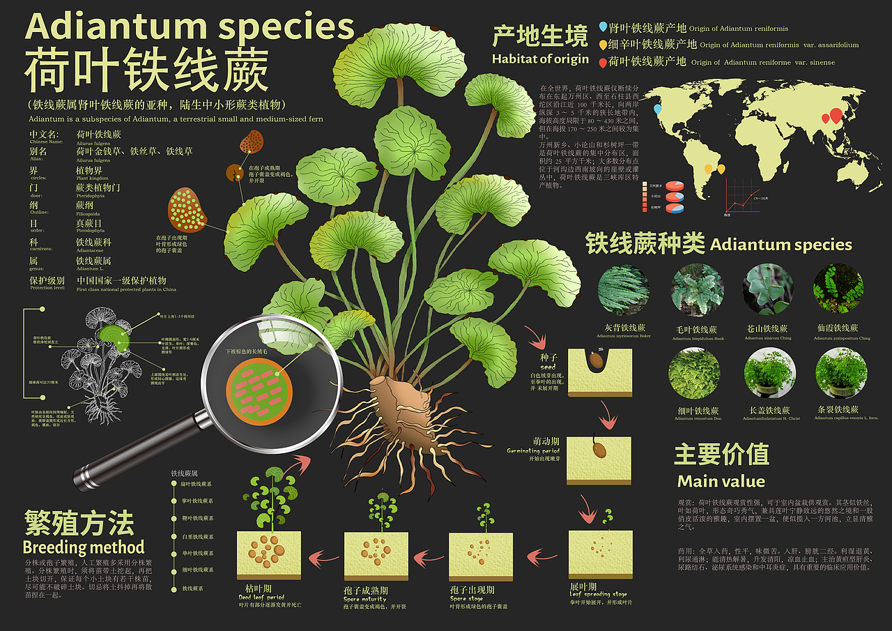 动植物信息设计（图ZMjgzNTA4OTg4） - 宣传物料 - 站酷设计师808river原创素材 - 站酷ZCOOL