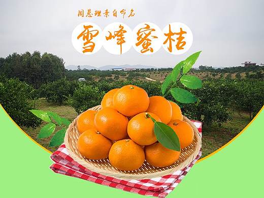 桔子首页（个人主页-ZMjQ4MjA4ODQ=） - 电商 - 站酷设计师德玛西亚13456原创素材 - 站酷ZCOOL