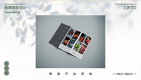 果不其然vi设计(水果店vi)水果店logo