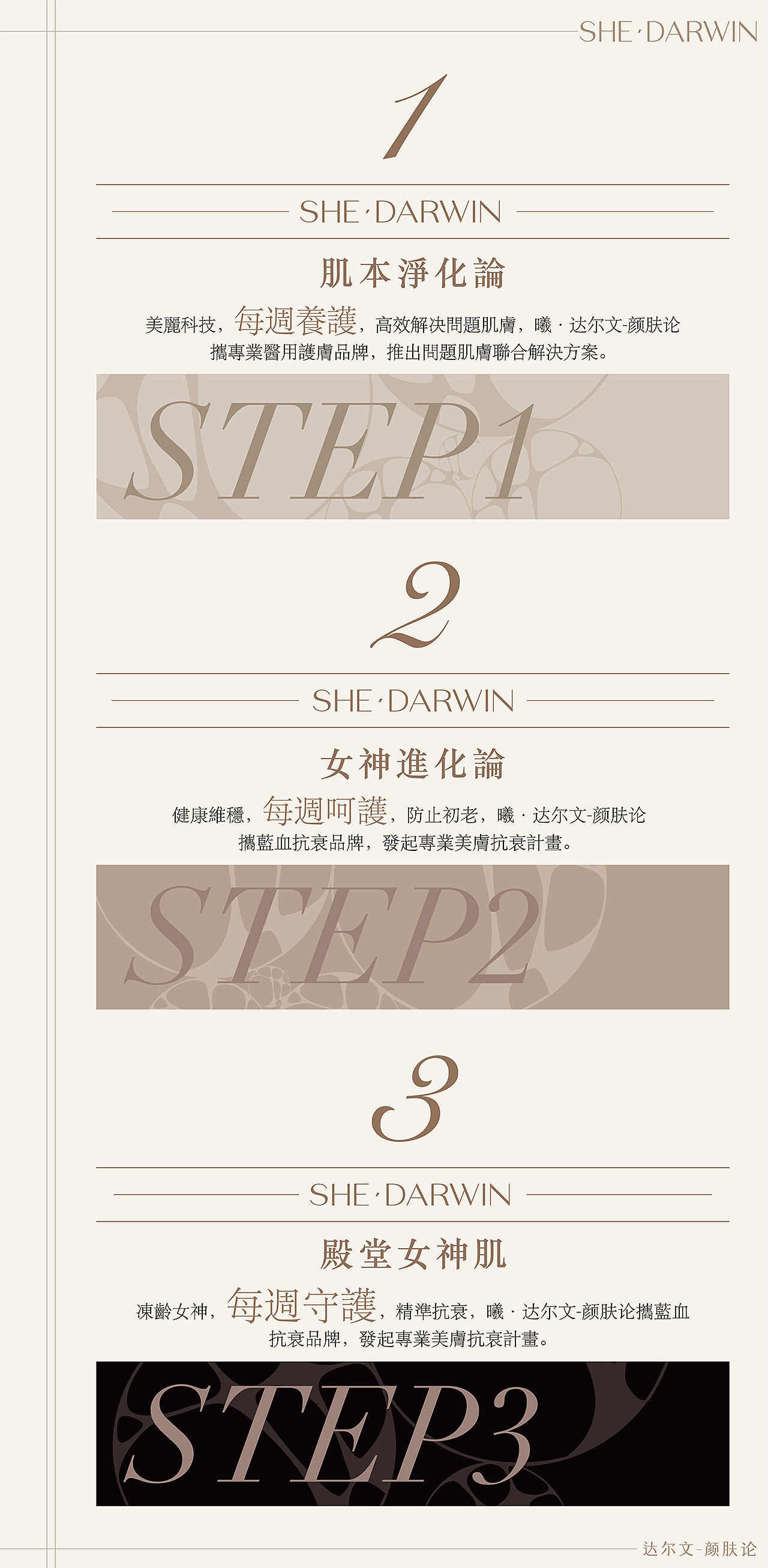 又异×达尔文 | SHE·DARWIN 颜肤论品牌设计全案