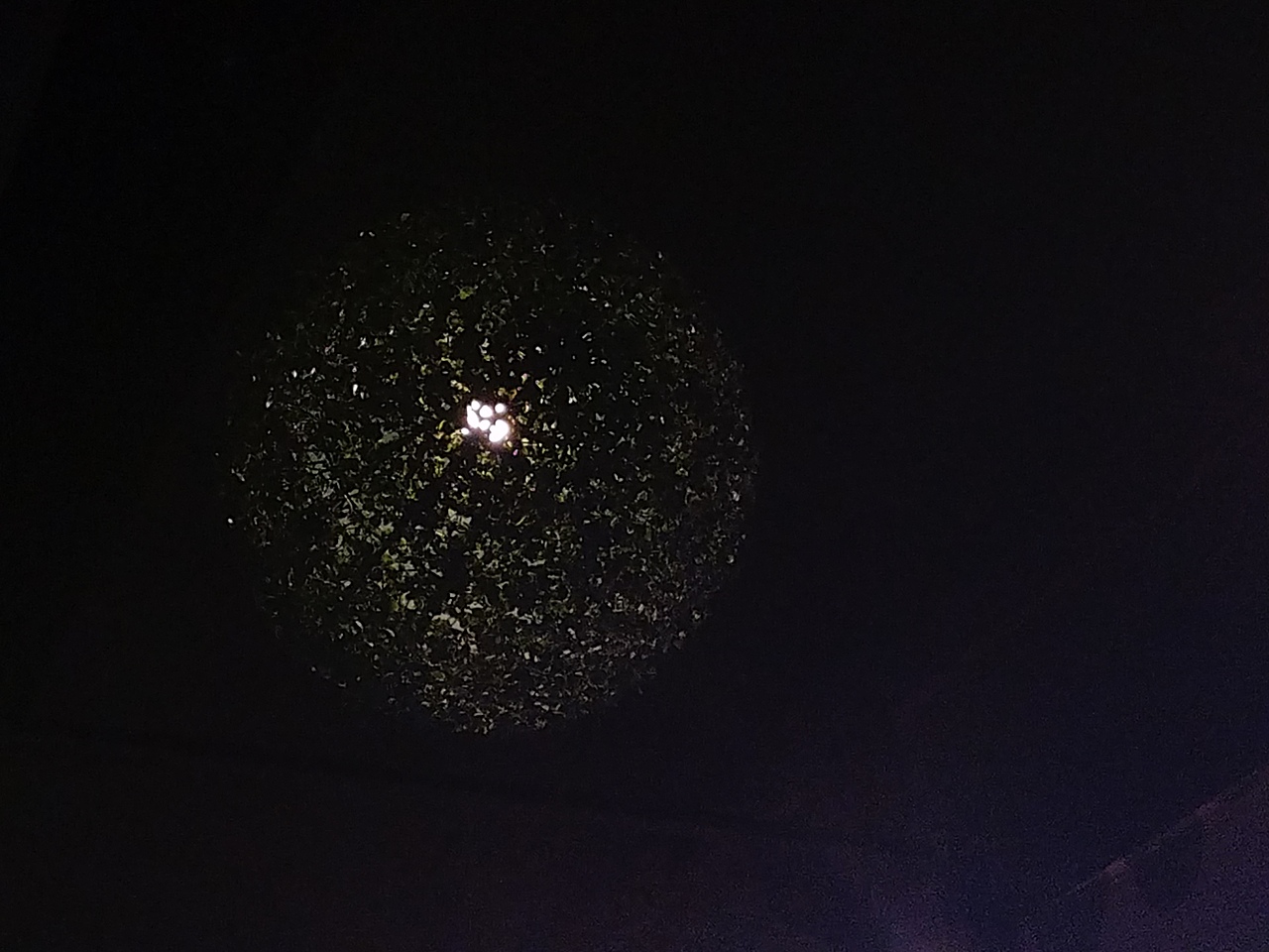 三月的手机街拍（图ZNzM5NzYwMDA=） - 其他摄影 - 站酷设计师FilAment原创素材 - 站酷ZCOOL