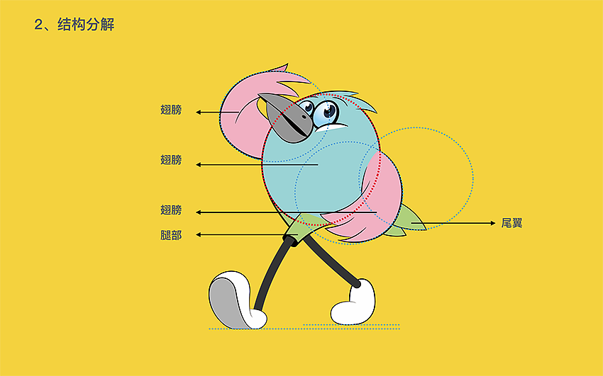 一个鸟人的诞生