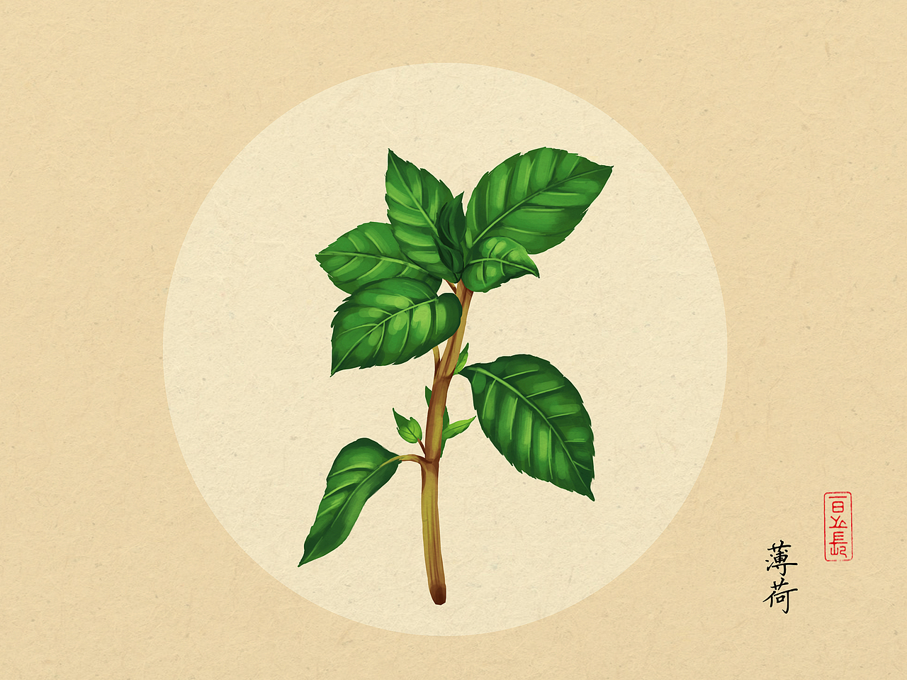 植物插画