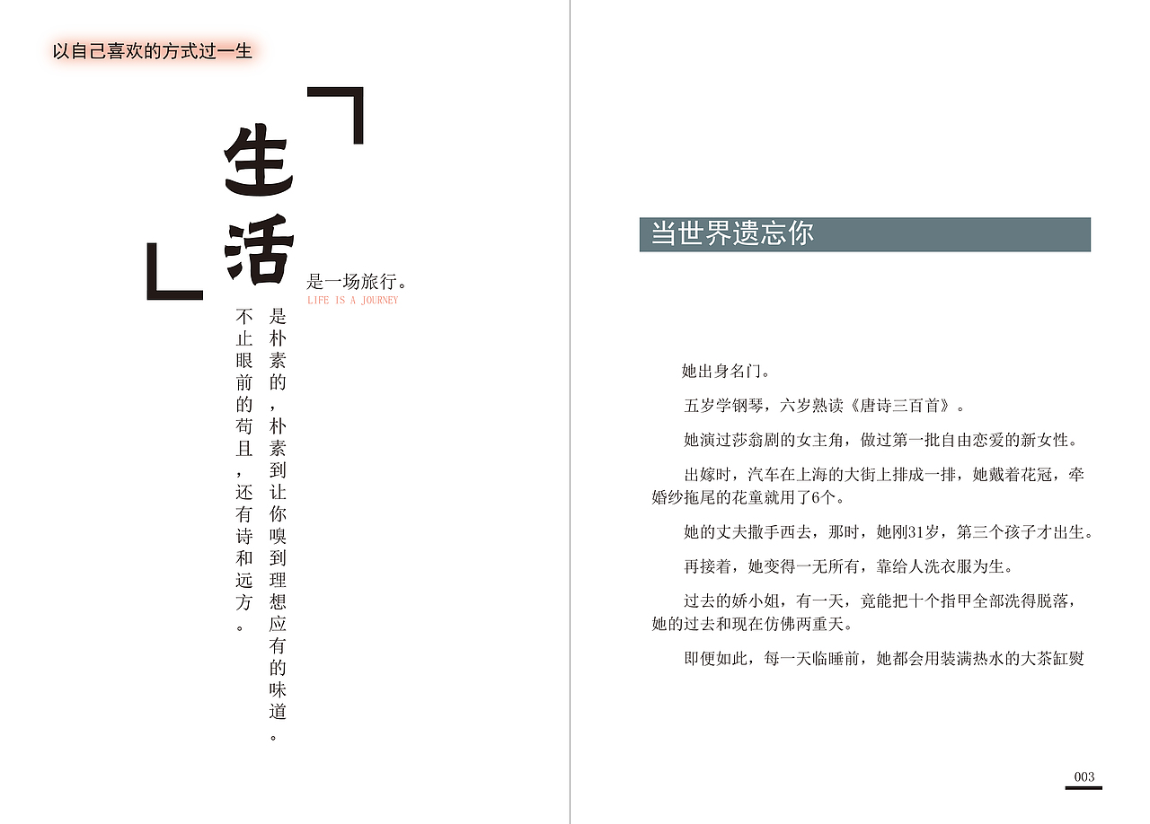 书籍封面 内页 排版设计