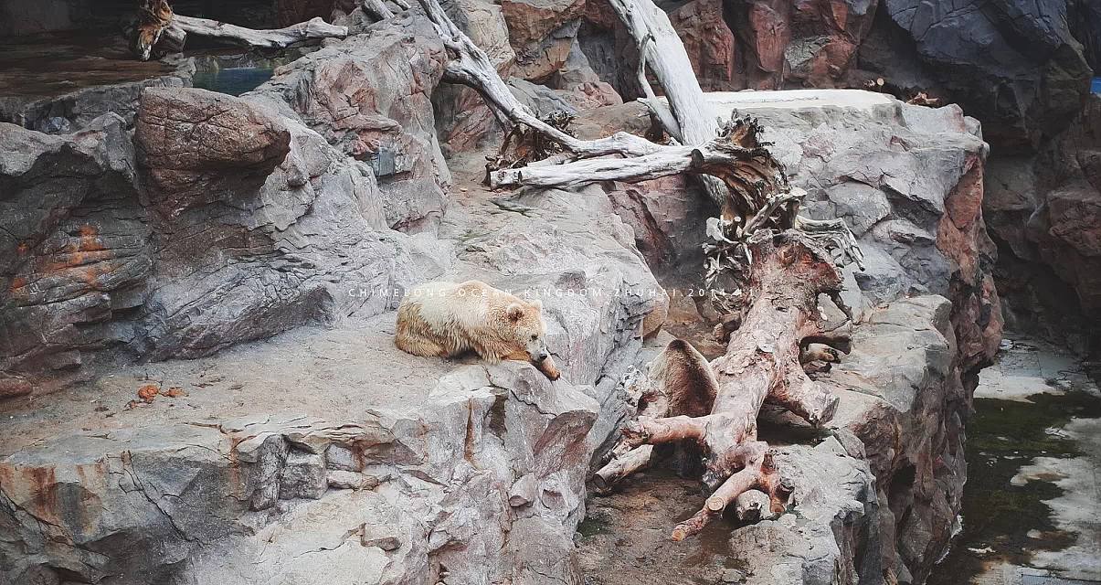 三年前的珠海长隆海洋王国