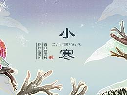 二十四节气系列插画------小寒（持续更新）
