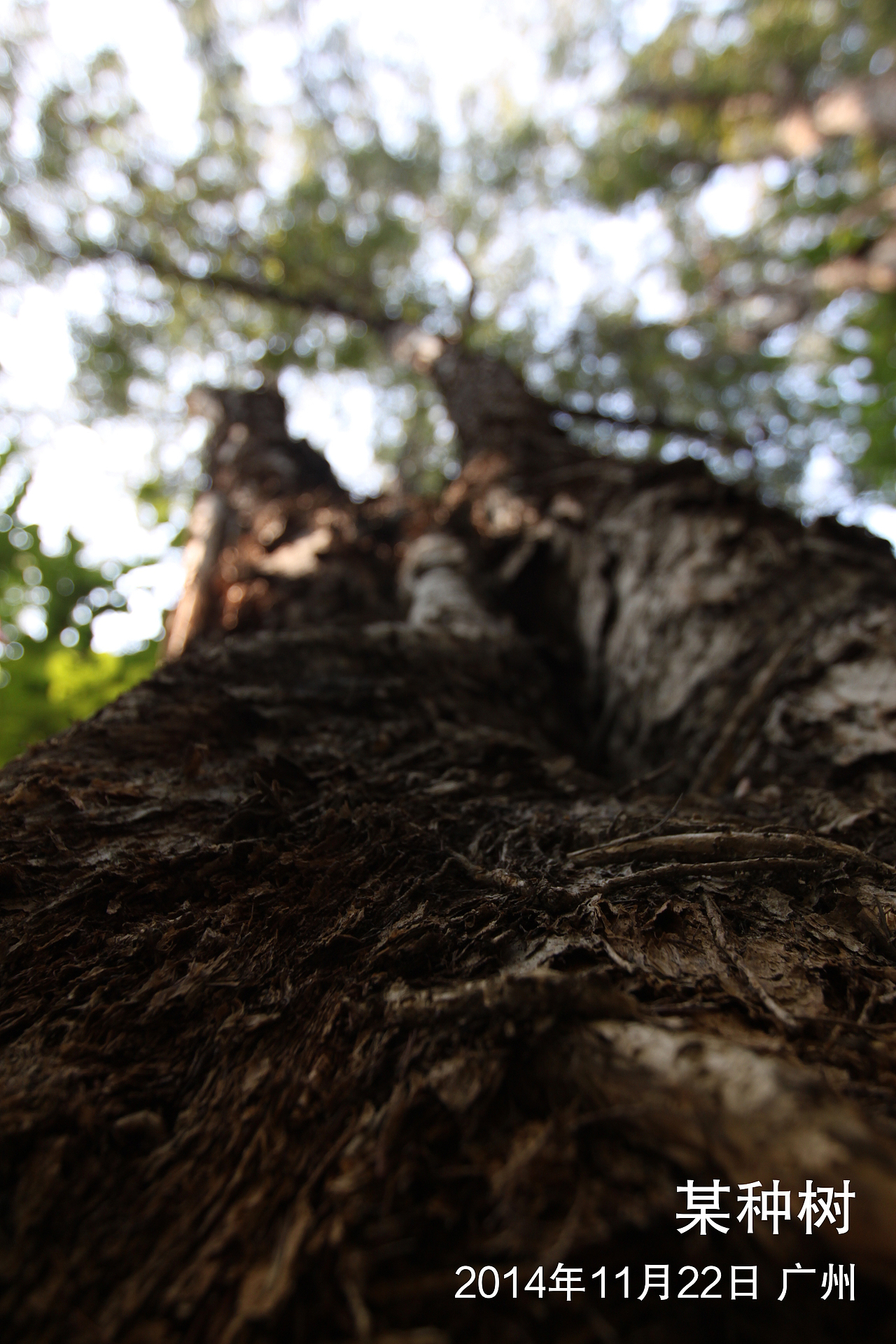 追忆那年的广州