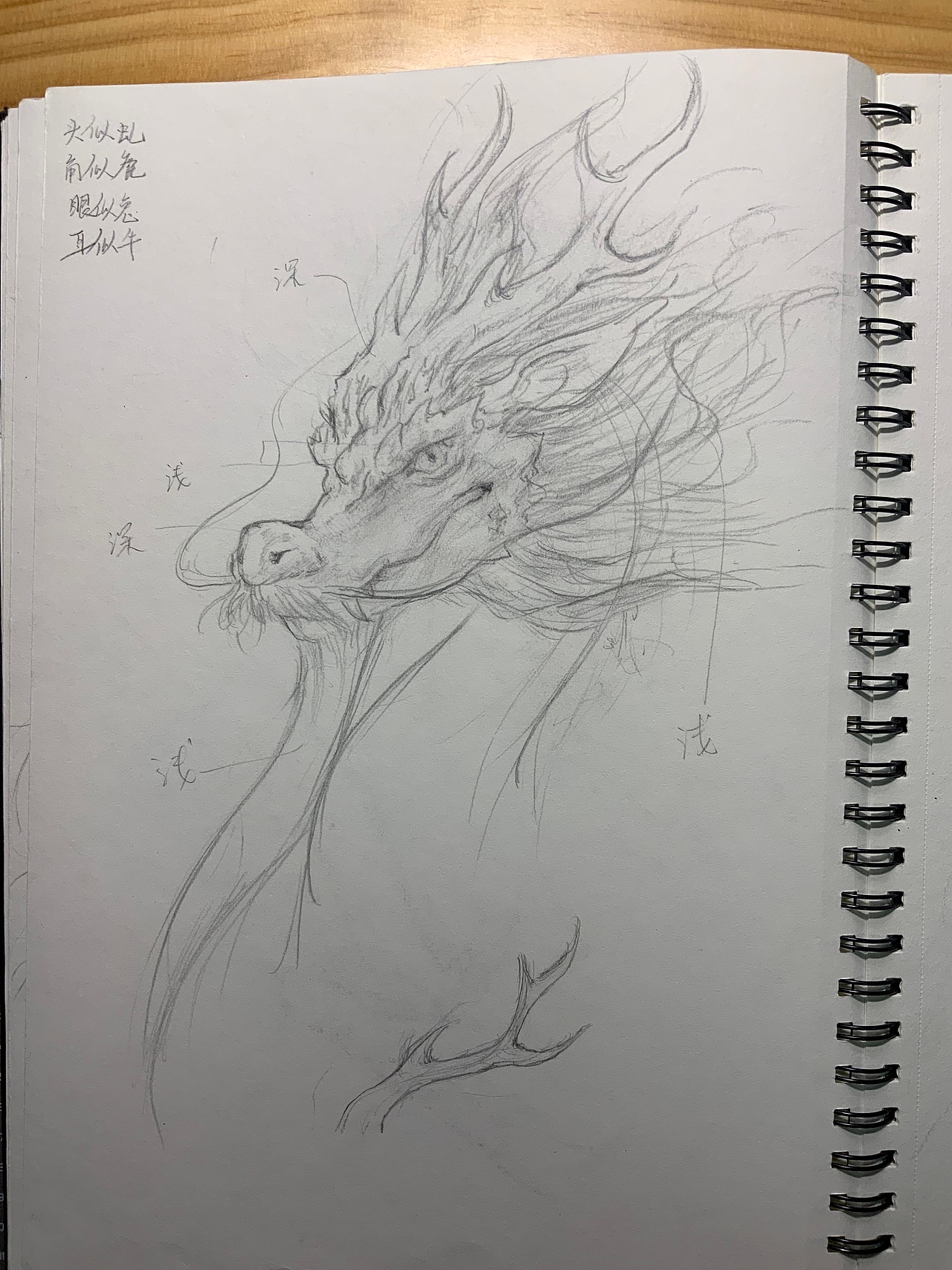 《辰玄帝》手稿2:龙相设计