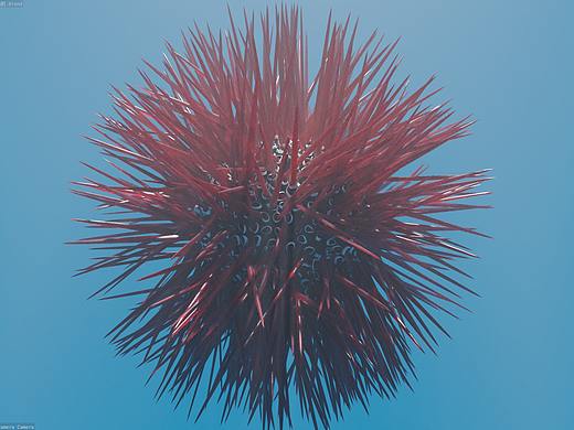 海胆