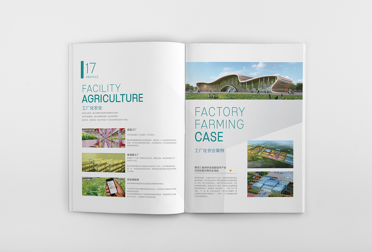 菜鸟的2017（二）（图ZMTA0OTU3MDQw） - Logo - 站酷设计师吃糖长不高原创素材 - 站酷ZCOOL