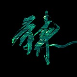 IMTINGWU的头像